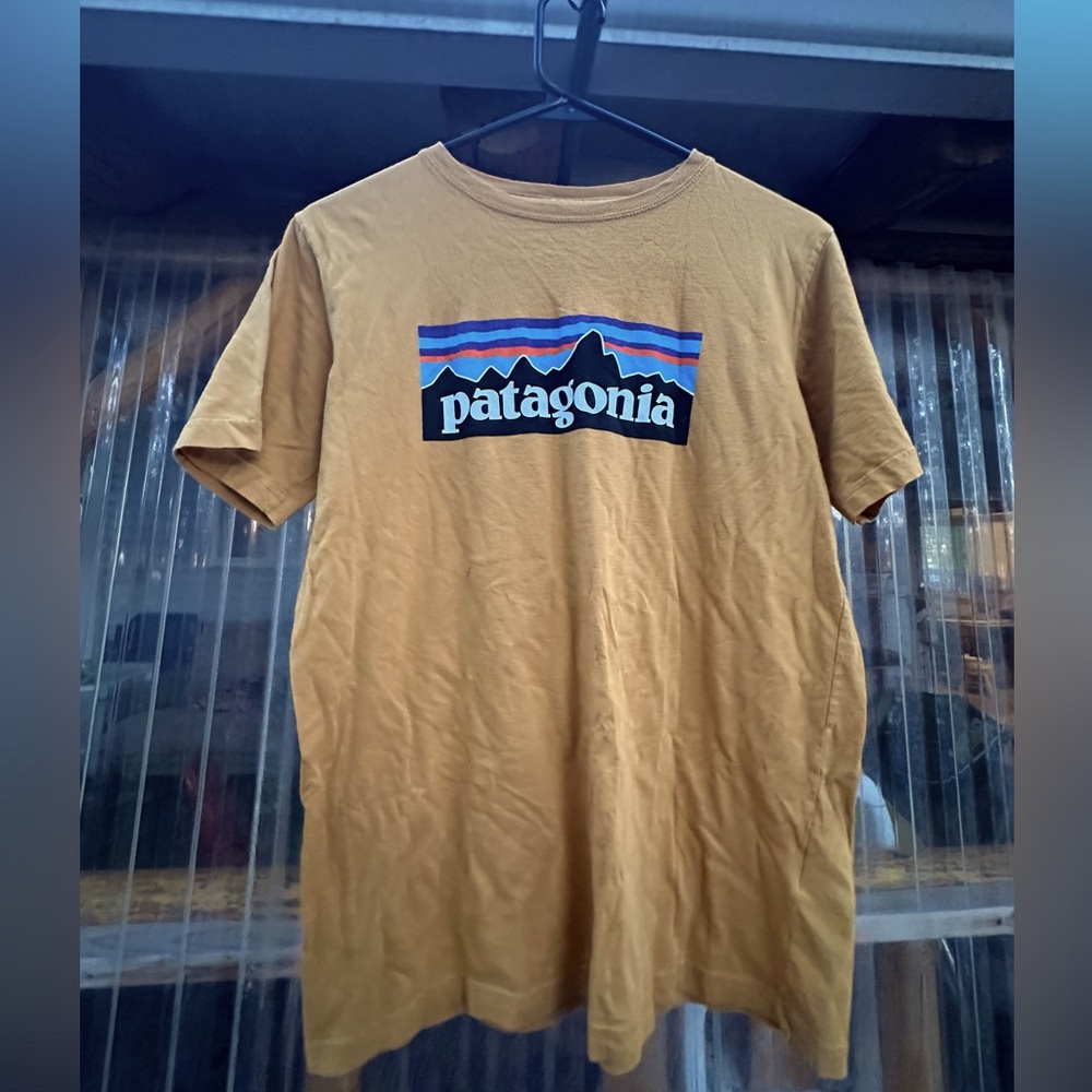 Patagonia Tee